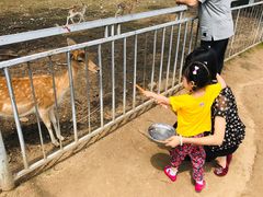 -西安秦岭野生动物园