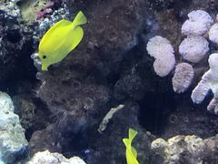 -沈阳海洋探索中心