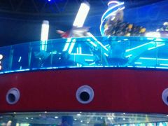 android_upload_pic-北京欢乐谷
