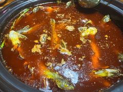 -金海椒罐罐鲢鱼(东方桂苑店)