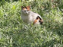 -颐和园