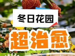 -国家植物园南园