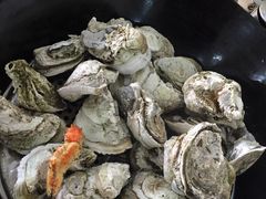 -蚝专家(北滘店)