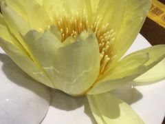 -福慧慈缘素食餐厅(王府井店)