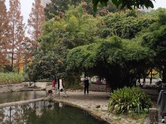 -成都市活水公园