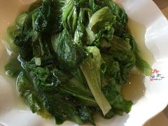 -阿英煲(凉城路店)