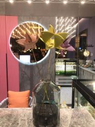 -花隐·美芙炫海菲秀皮肤管理中心