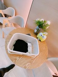 -易型AT20科技健康
