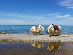 -青海湖国家重点风景名胜区