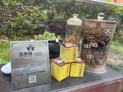 -广州神农草堂中医药博物馆