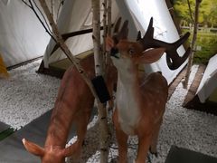 -东方之珠洗浴休闲广场(南开店)