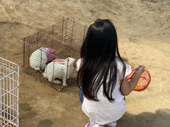 -前小桔亲子创意农场·草莓采摘·露营烧烤