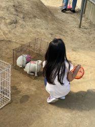 -前小桔亲子创意农场·草莓采摘·露营烧烤