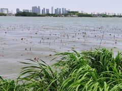 -蠡湖中央公园