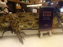 -海鼎荟海鲜姿造(泉州仟禧店)