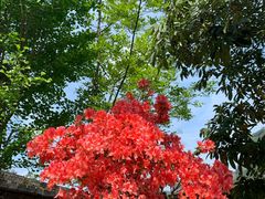 -寒岩夕照农家乐