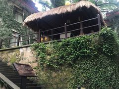 -普陀山雷迪森庄园
