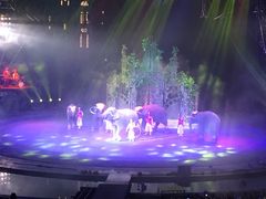 -珠海横琴长隆《卡卡虎奇遇记》