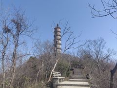 -巢湖姥山岛