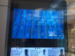 -深圳大学城（南区）体育中心-游泳馆