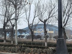 -泉城欧乐堡海洋极地世界