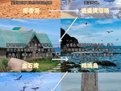 -幸福门