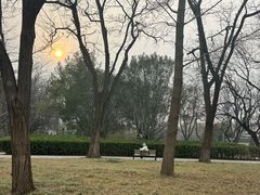 -玲珑塔公园