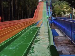-重庆海昌加勒比海水世界