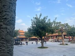 -仙岳公园