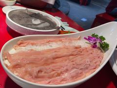 -二荆条·蜀鲜汇城市森林火锅