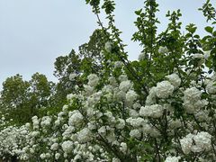 -盘龙城国家考古遗址公园