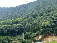 -午潮山国家森林公园