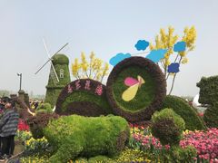-荷兰花海