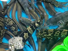 -都斛海鲜街