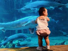 -华夏文旅海洋公园