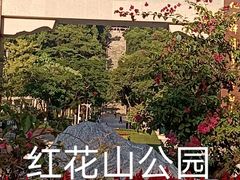 -红花山公园