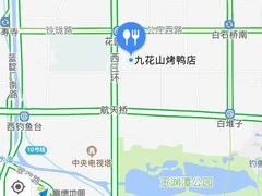 -九花山烤鸭店
