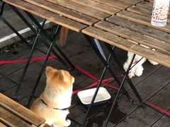 -ROAST coffee & eatery