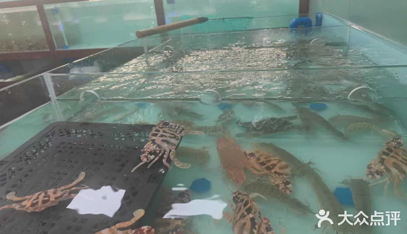 🔥火锅新玩法，金木水火土任你挑！🍲