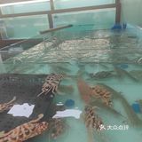 🔥火锅新玩法，金木水火土任你挑！🍲