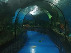 -大明湖海底世界