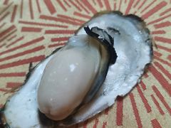 -新和联胜海鲜酒家(万寿路店)