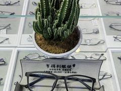 -罗伯特眼镜·蔡司官方授权(罗湖国贸店)