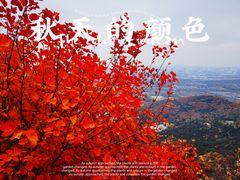 -香山公园