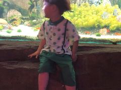-重庆欢乐海底世界