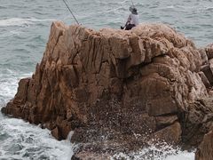 -小麦岛公园