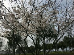 -尚贤河湿地