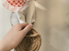 -共舞时光猫咖·狗咖(新街口店)