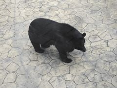 -柳州市动物园