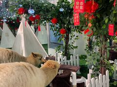-武汉5D星空错觉艺术馆(中心百货店)